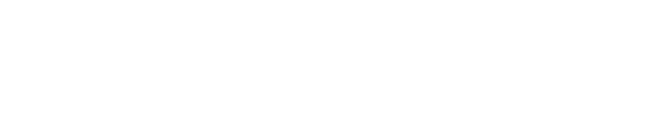 RAYZON